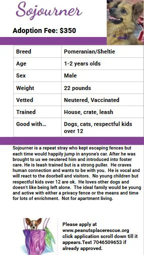 Sojourner thumbnail 3