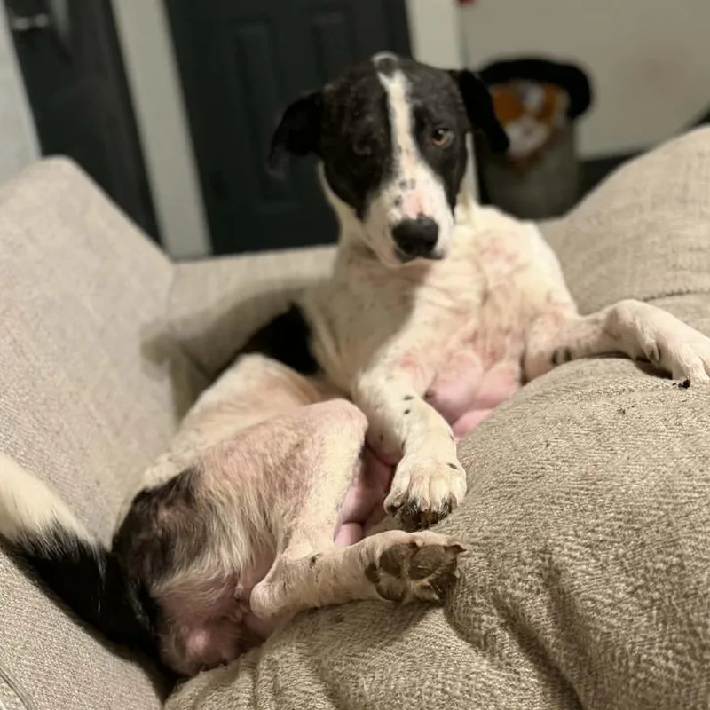 Tinkerbell thumbnail 3