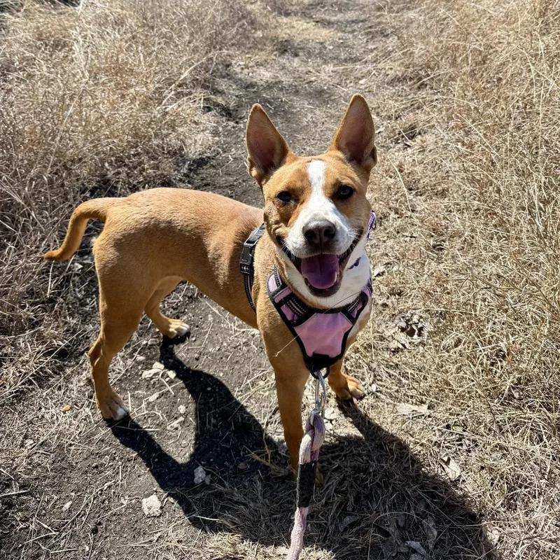 Charlotte thumbnail 2