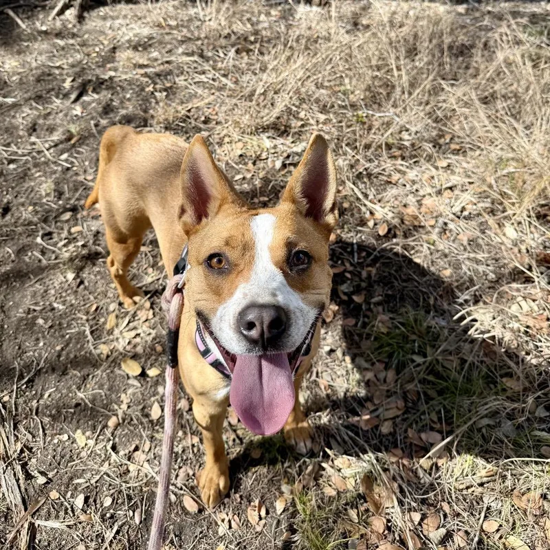 Charlotte thumbnail 3