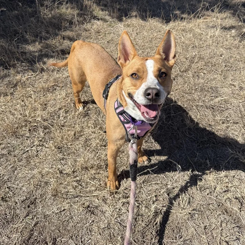 Charlotte thumbnail 4