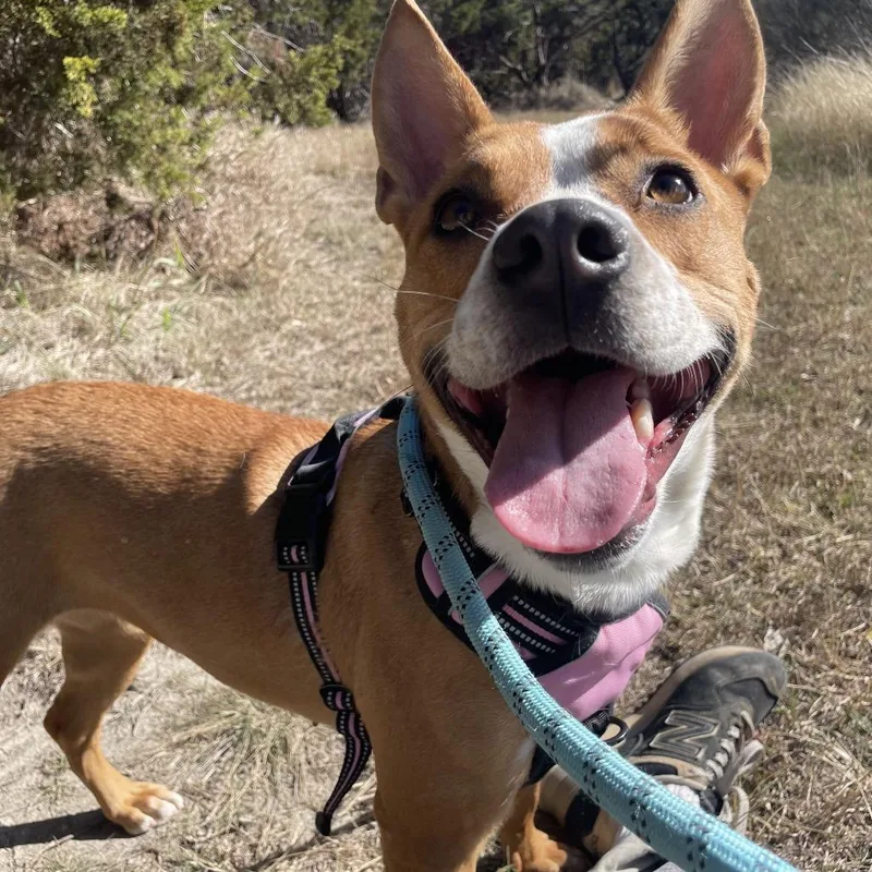 Charlotte thumbnail 5