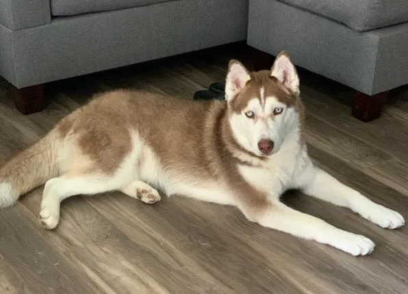 Sebastián thumbnail 3