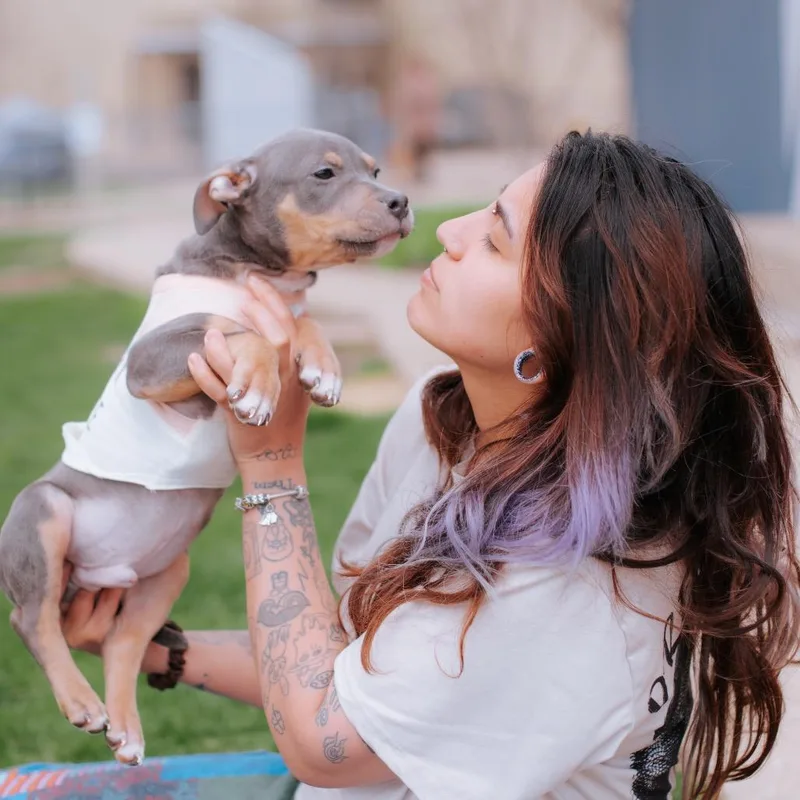 Ogilivie thumbnail 3