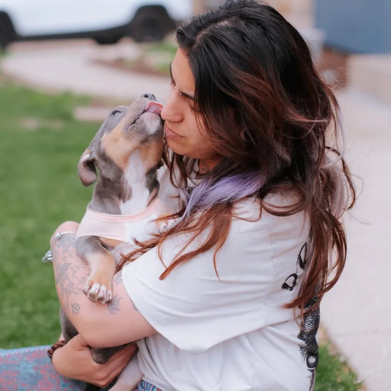 Ogilivie thumbnail 6