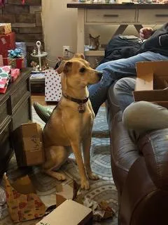 Mika