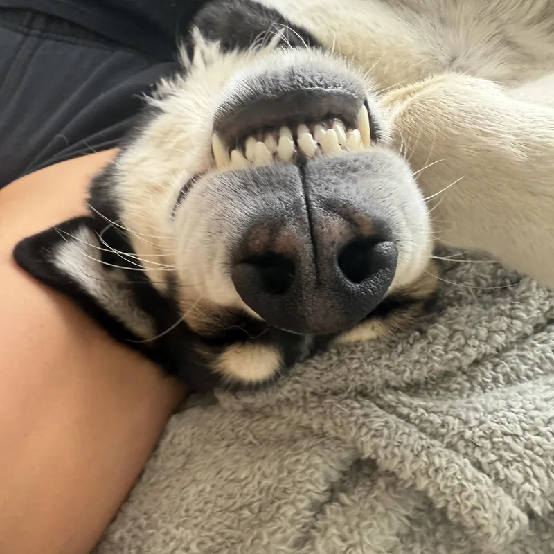 Cooper thumbnail 2