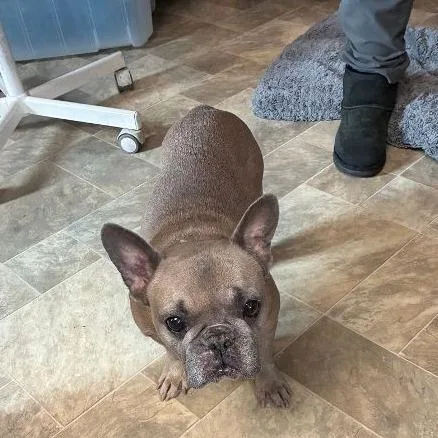 Sandra Dee thumbnail 2