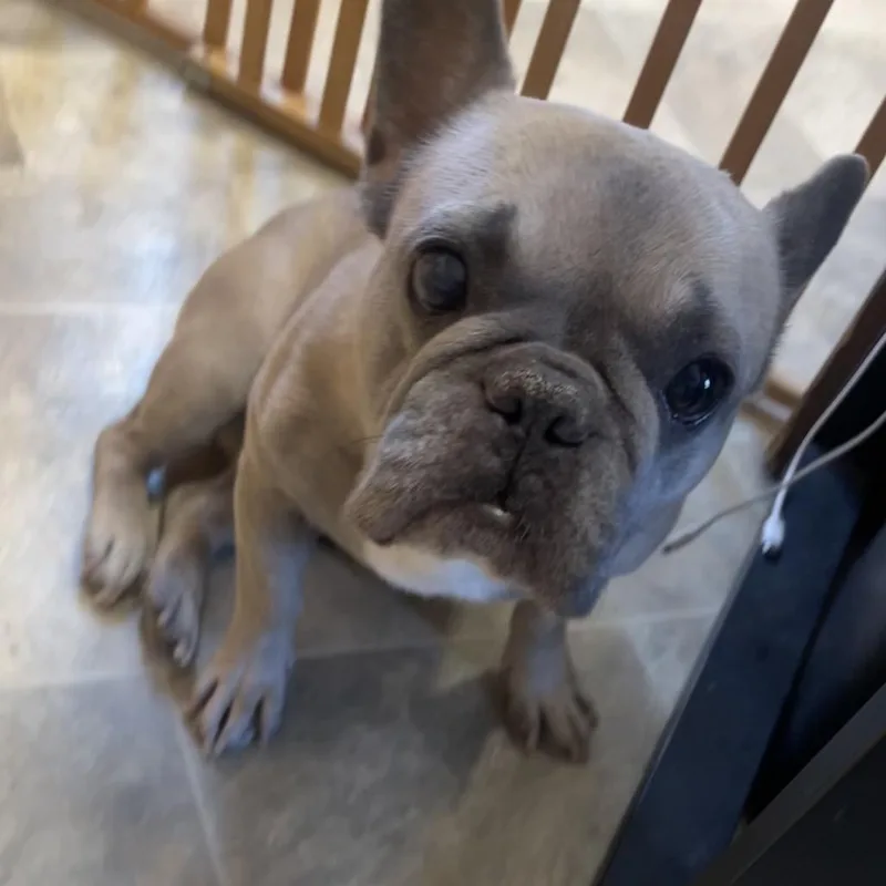 Sandra Dee thumbnail 6