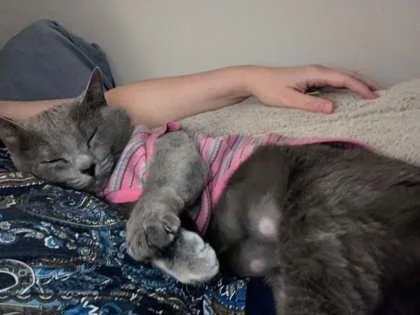 Chloe thumbnail 3