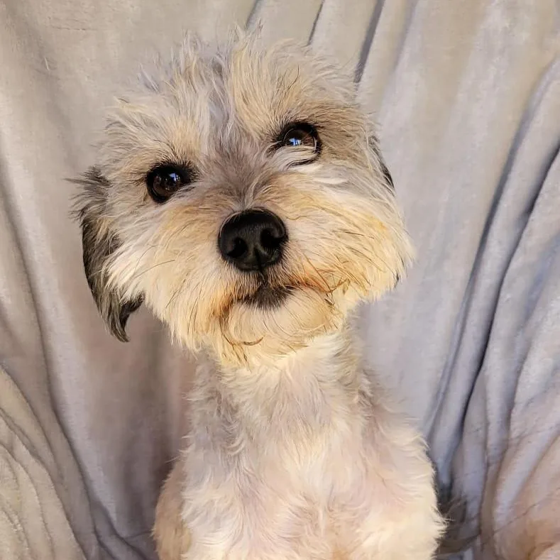 Valentina thumbnail 2