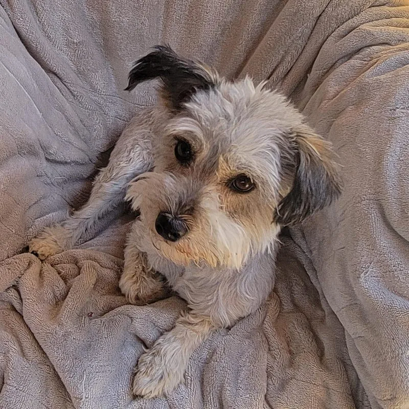 Valentina thumbnail 3