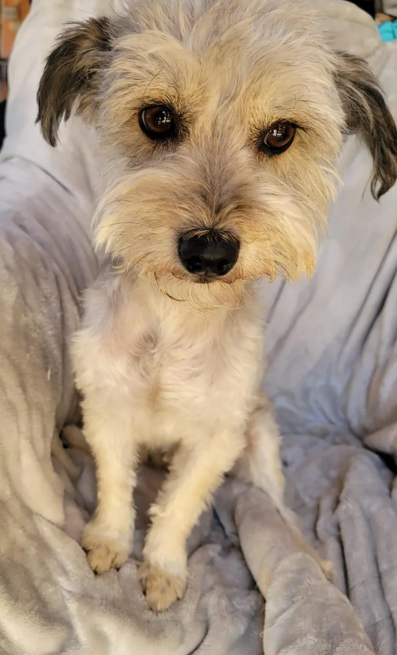 Valentina thumbnail 4