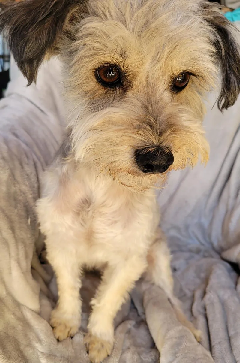 Valentina thumbnail 5