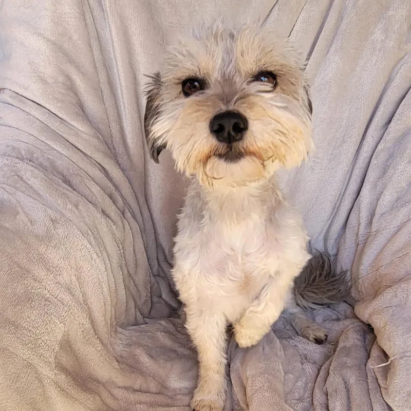 Valentina thumbnail 6