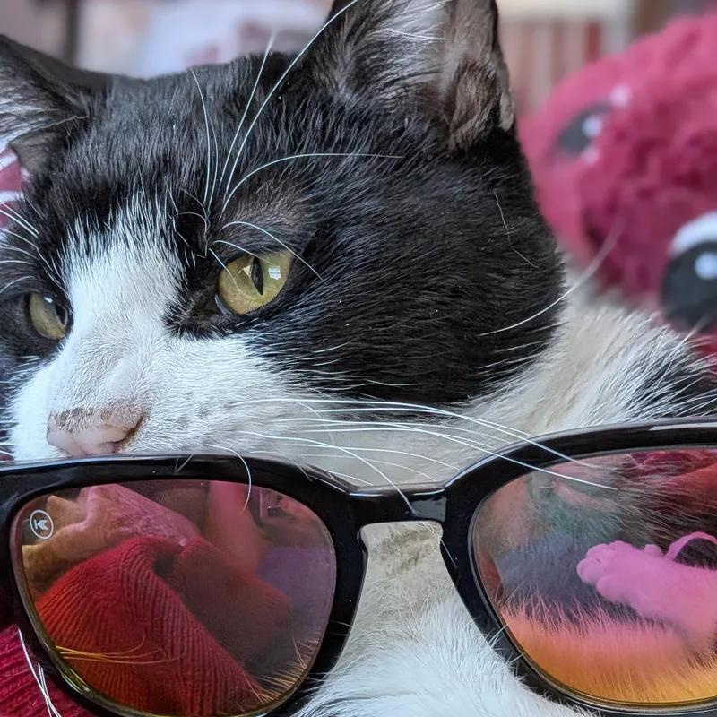 Petey thumbnail 3