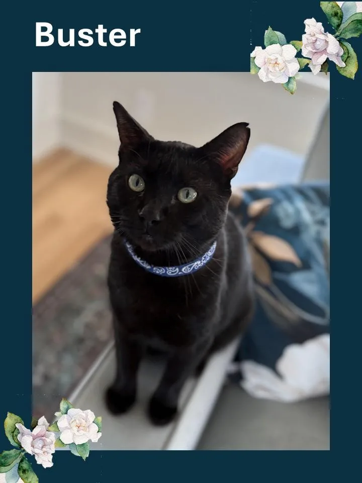 Buster