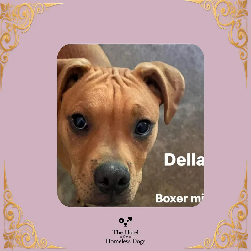 Della