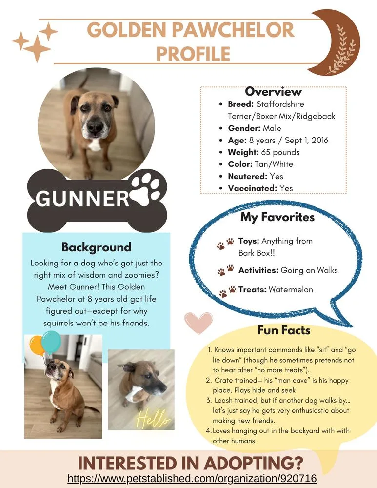 Gunner thumbnail 3