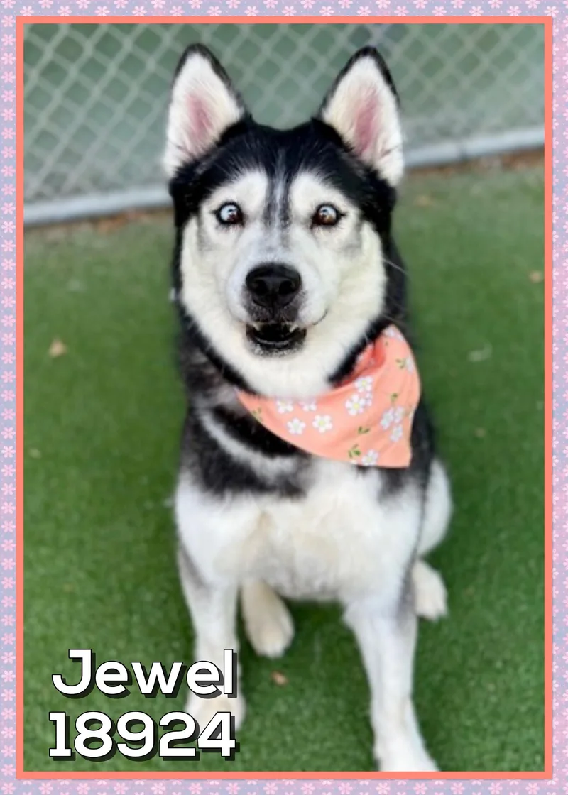 Jewel thumbnail 2