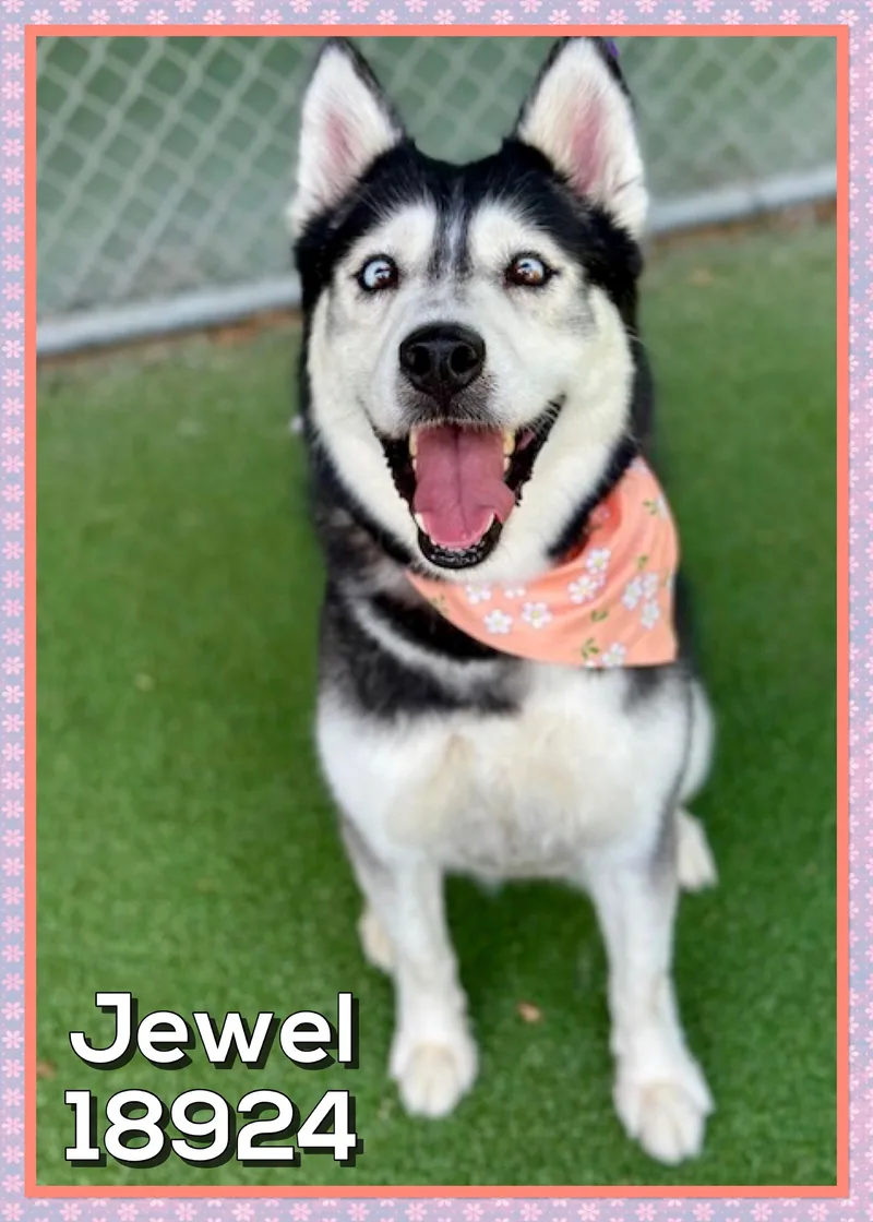 Jewel thumbnail 3