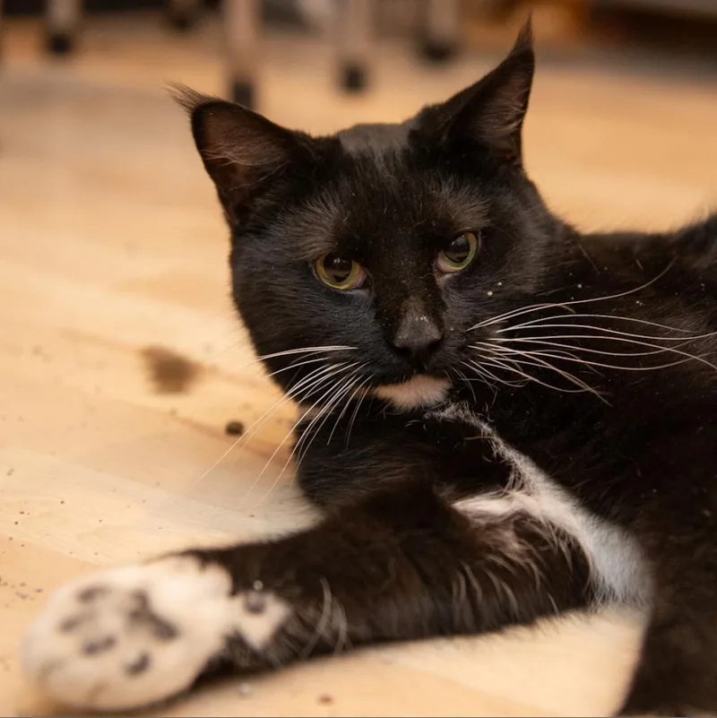 Blake Shelton thumbnail 3