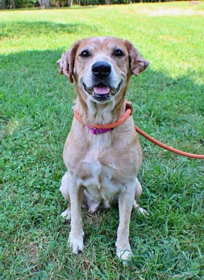 Edna