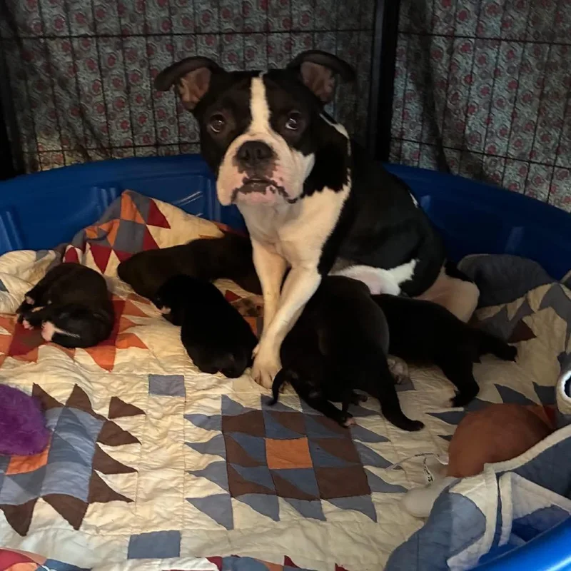 Aunt Jet Magic thumbnail 2