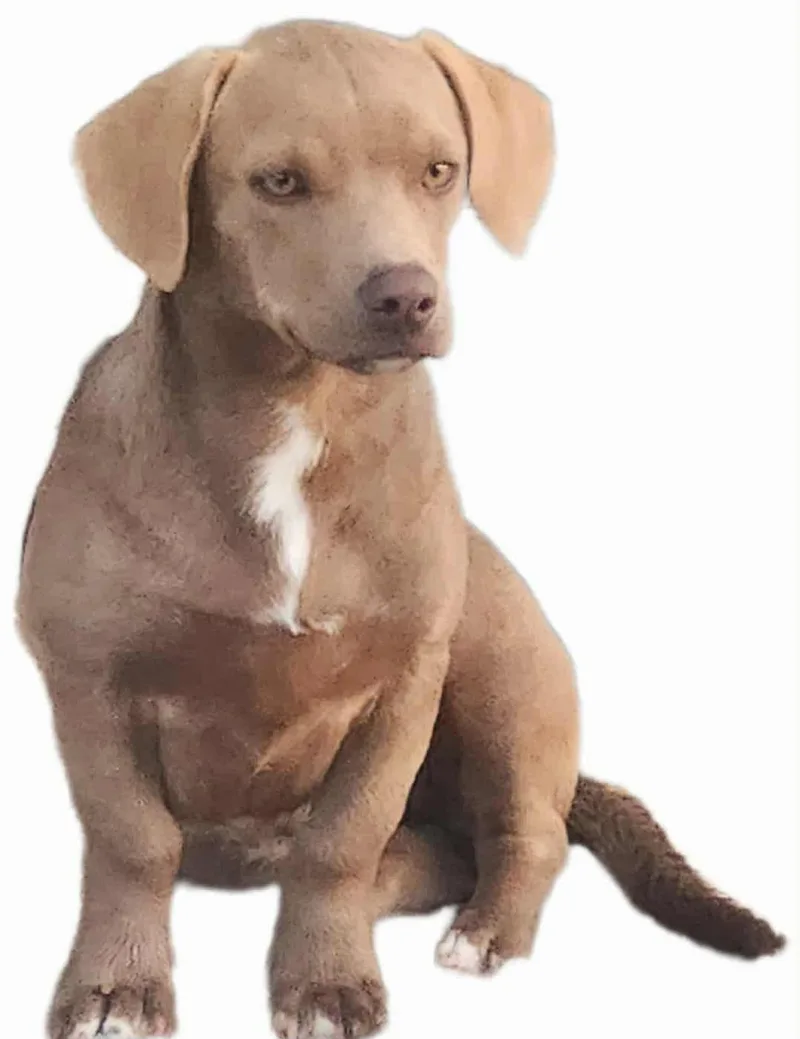 Chloe
