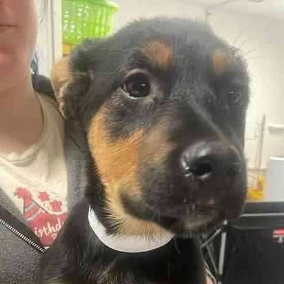 Zanatora thumbnail 2