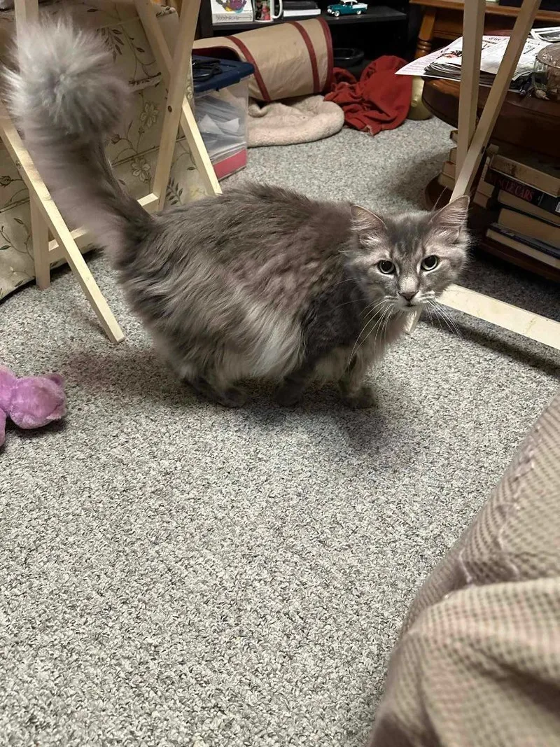 Slater & Sylvester thumbnail 2