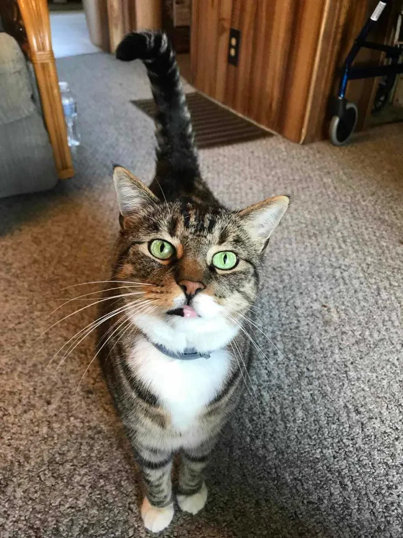 Slater & Sylvester thumbnail 3