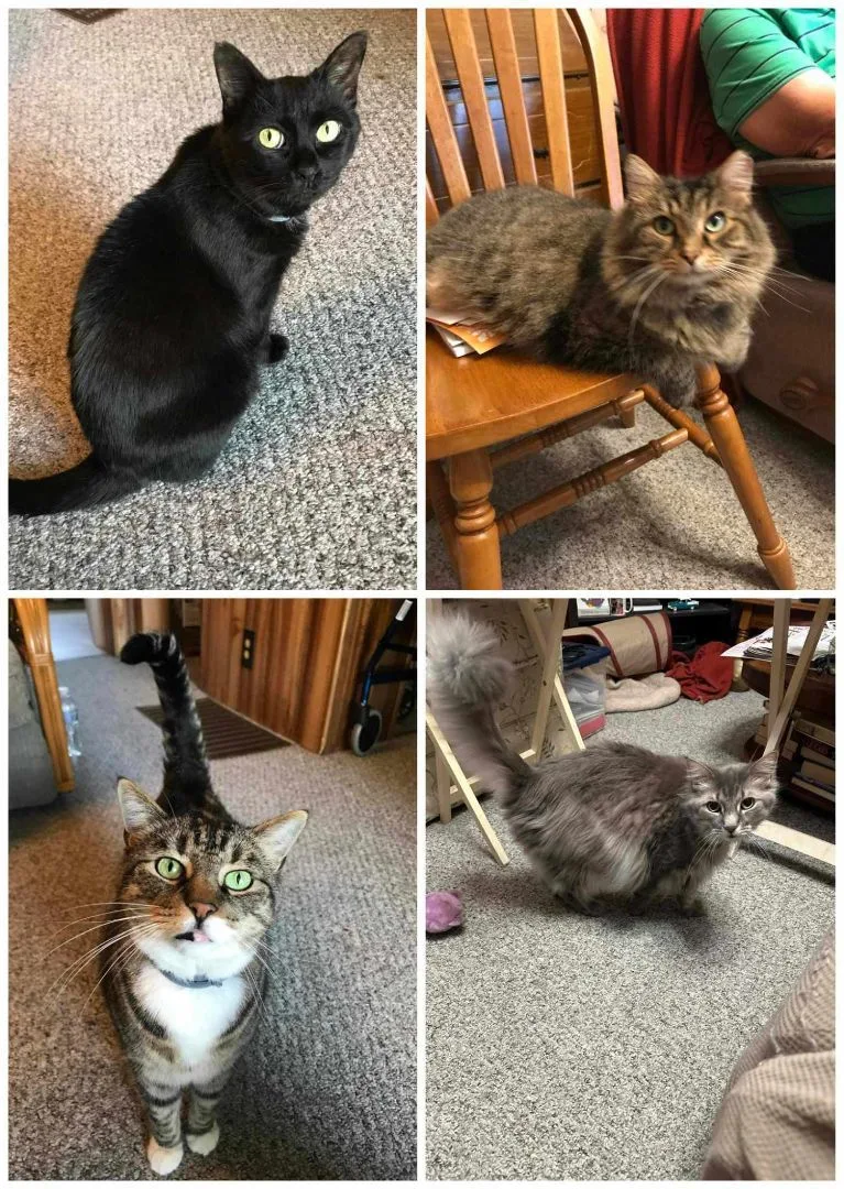 Slater & Sylvester thumbnail 4