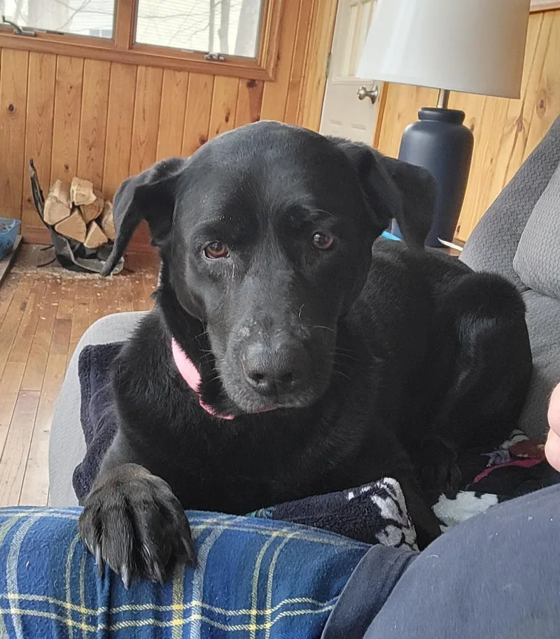 Dori And Bobo  thumbnail 3