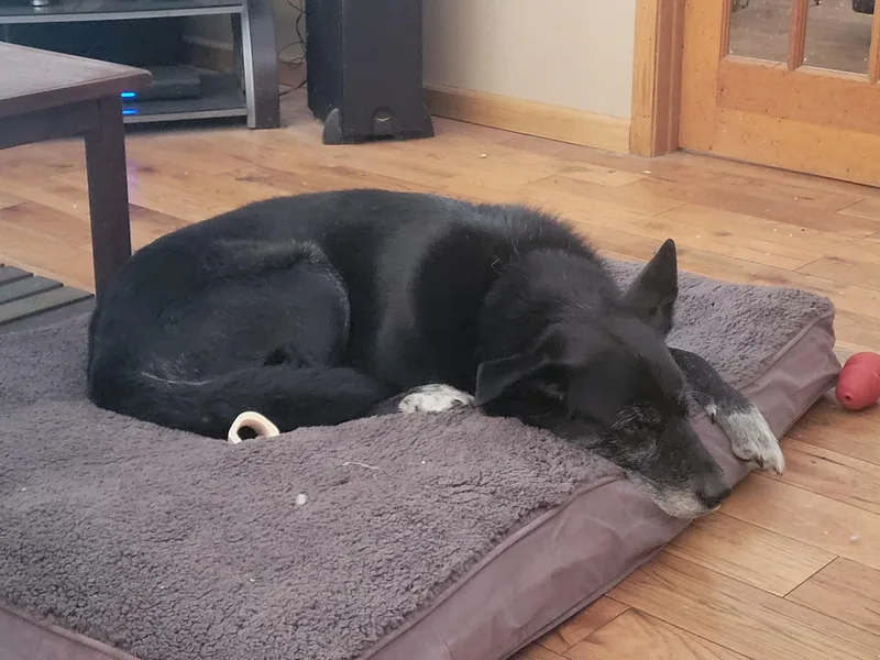 Dori And Bobo  thumbnail 5