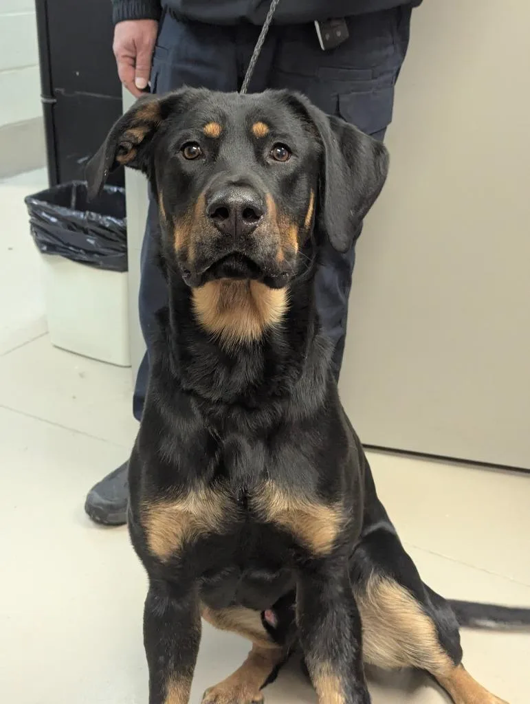 Rusty Buckett thumbnail 3