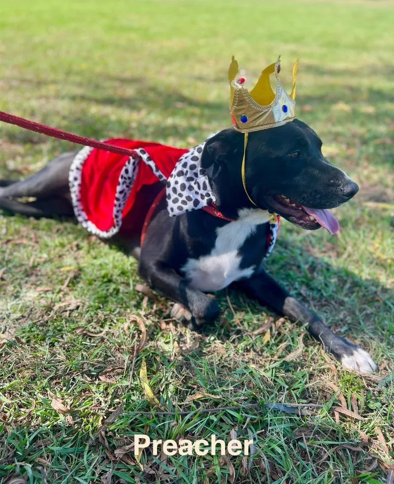 Preacher thumbnail 3