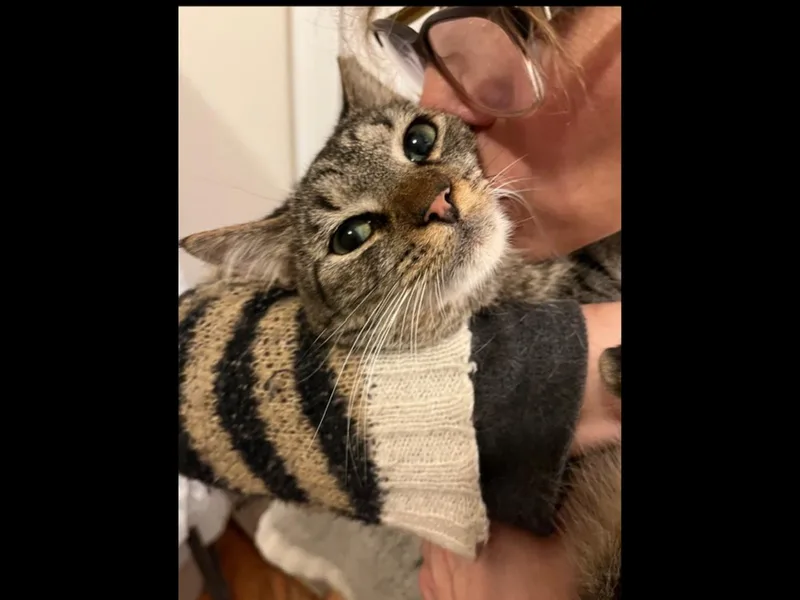 Pancho thumbnail 3
