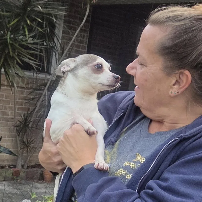 Lilly Flower thumbnail 3