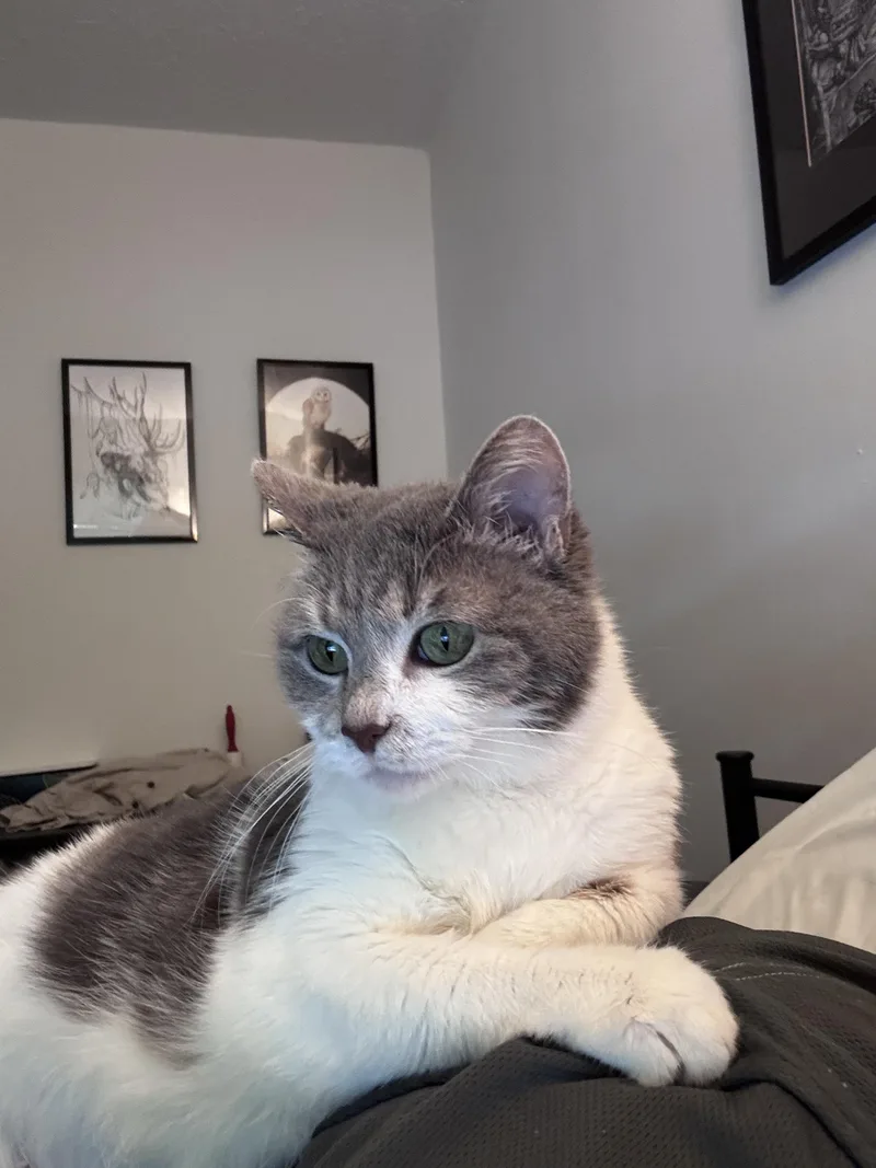 Lizzy thumbnail 3