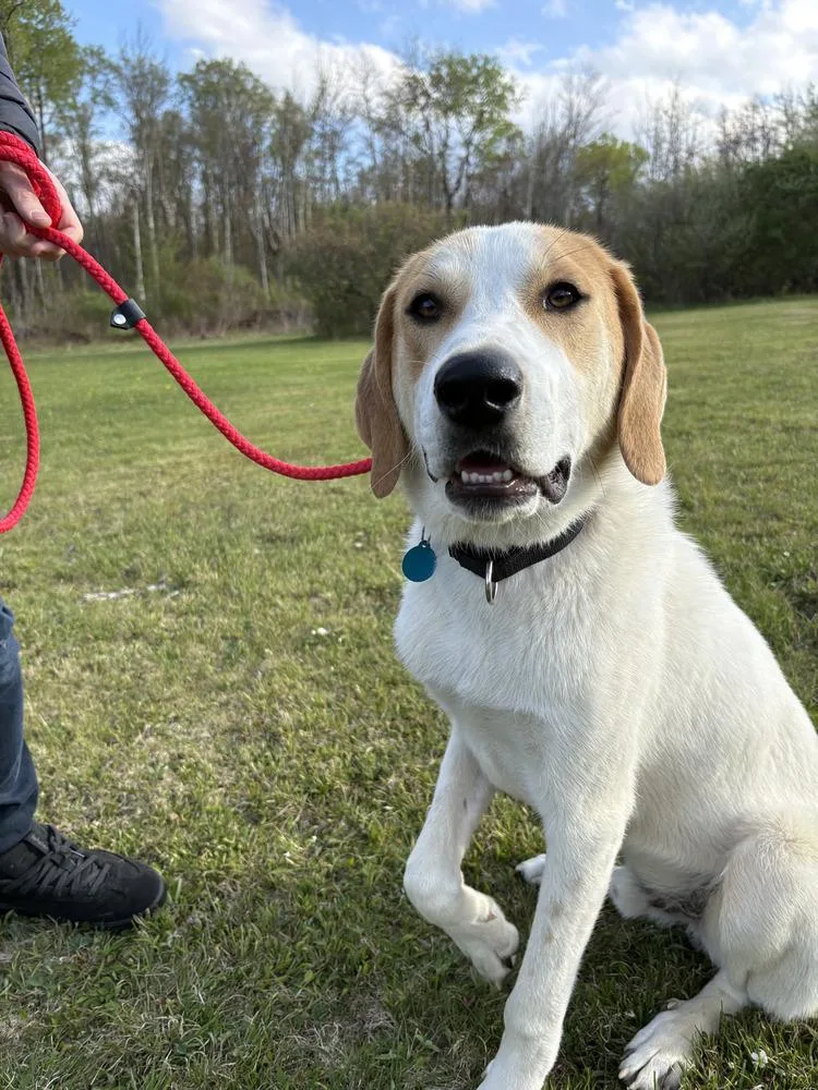 Tommy Aka Tucker thumbnail 3