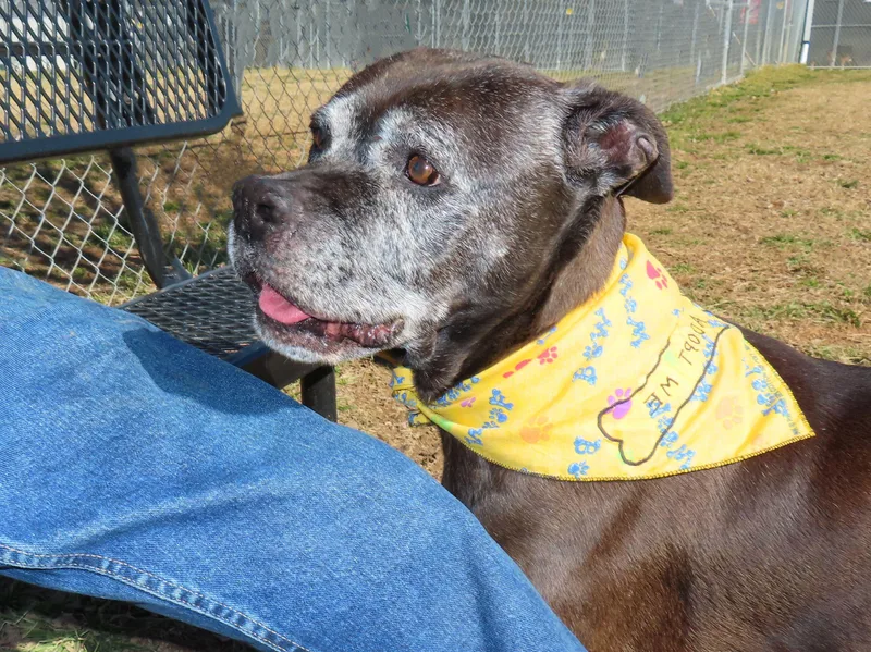 Anna Nanna   thumbnail 2