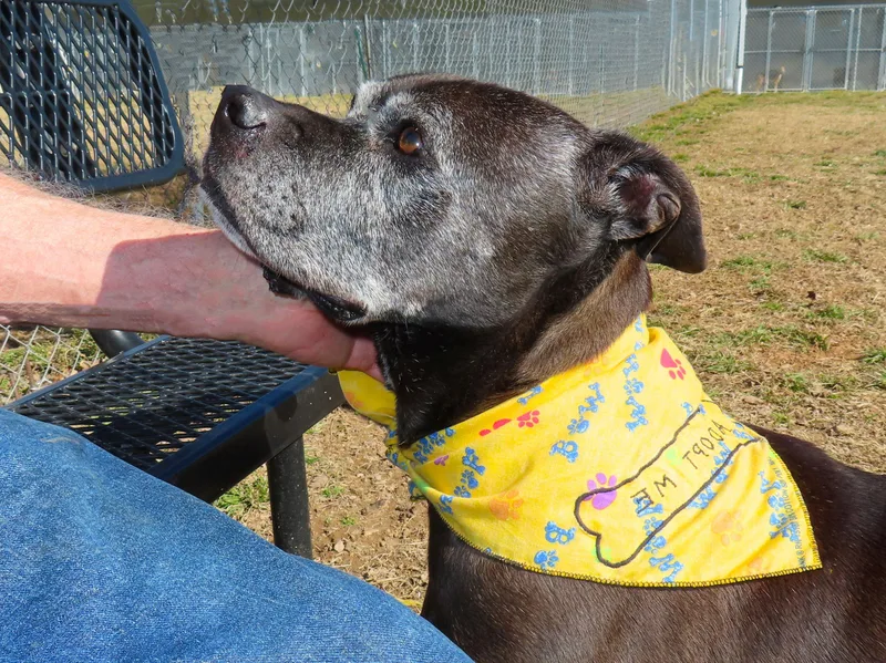 Anna Nanna   thumbnail 3