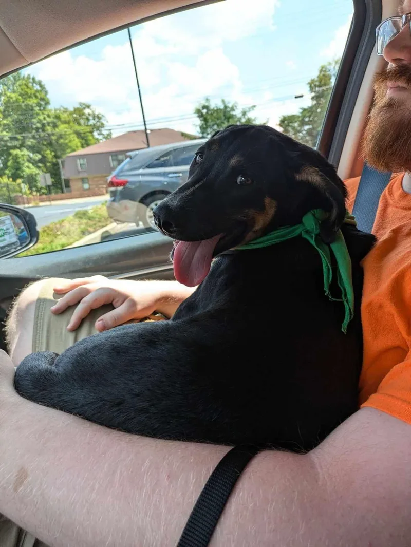 Madeline Polly thumbnail 4