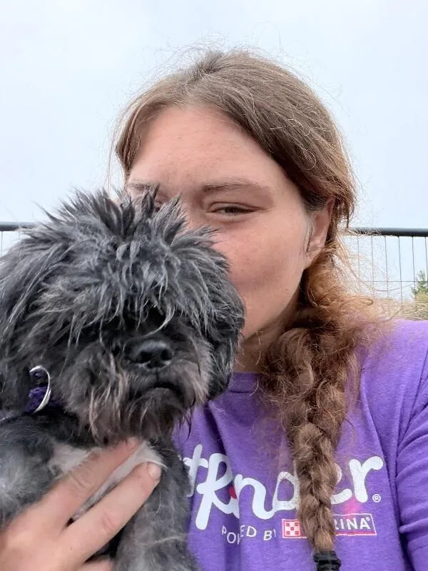 An adult small-sized male Gray / Blue / Silver Mixed Breed dog named Angelo for adoption in Cincinnati, OH