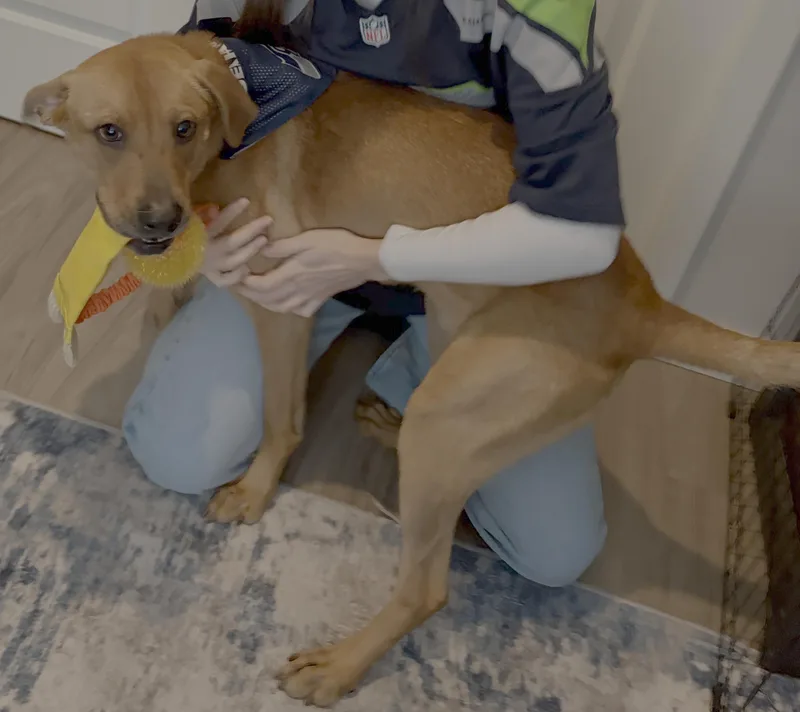 Davey Aka Bo thumbnail 3