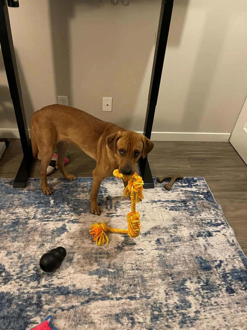 Davey Aka Bo thumbnail 4