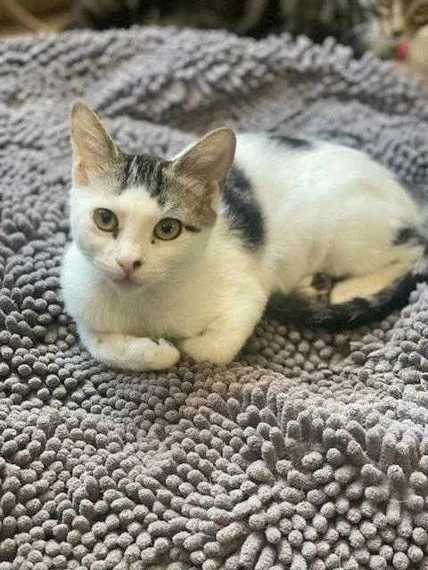 Minnie