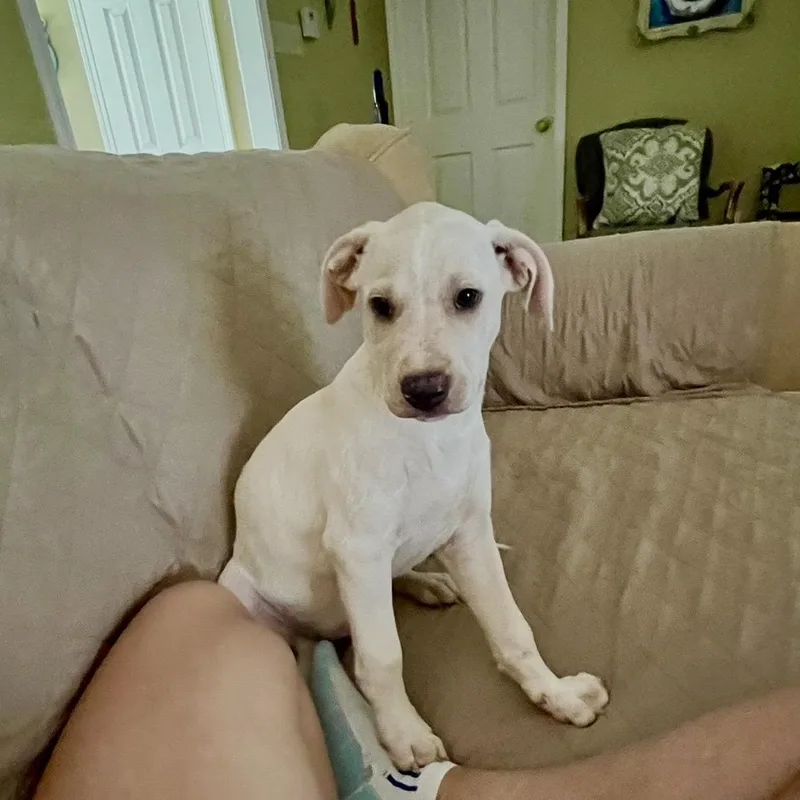 Nico thumbnail 5