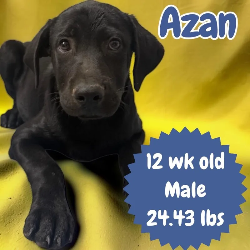 Azan thumbnail 2